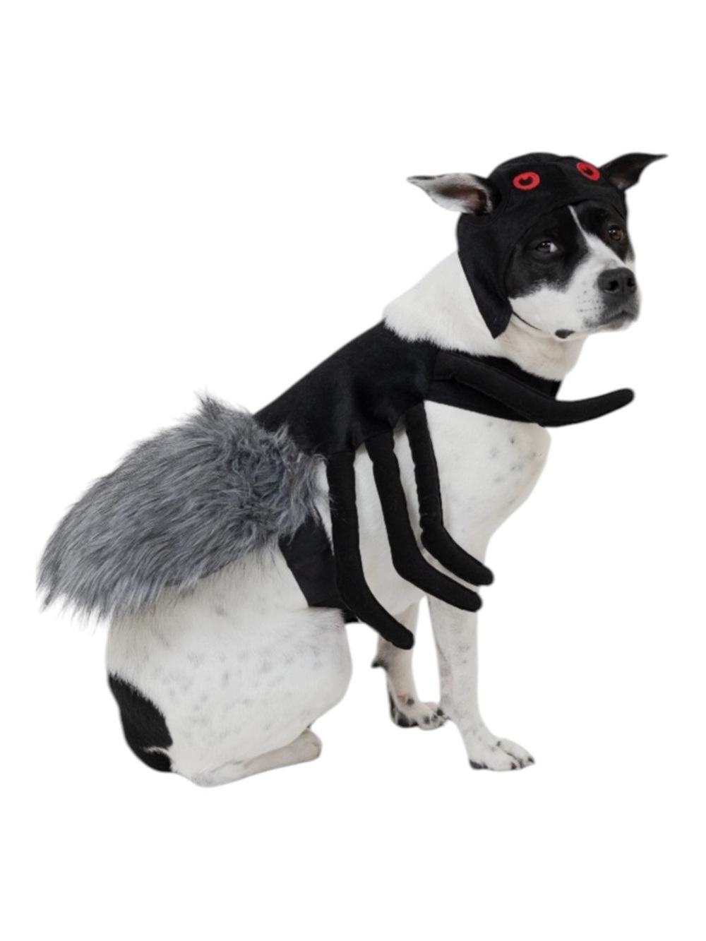 Vibrant Life Halloween
Spider Costume for Dogs, Black, Medium